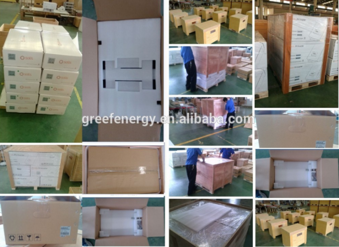 Inteligentny falownik sinusoidalny 600 VA 24 V Off Grid 5