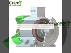SKF Generator ciągłych magnesów łożysk z ciałem aluminiowym o ochronie IP54 i drutem Cooper