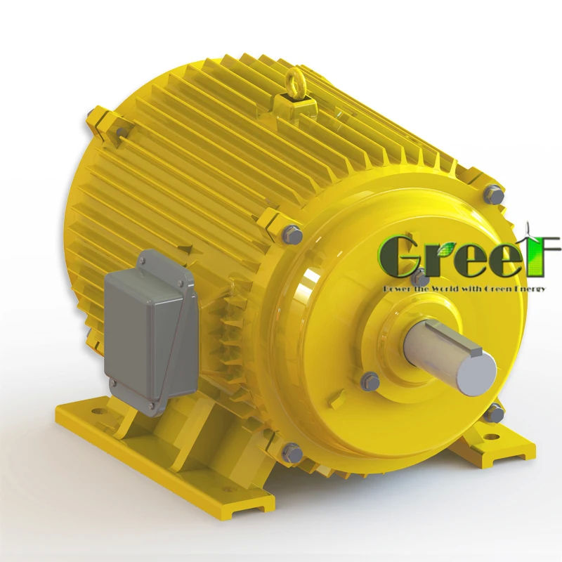 Generator energii elektrycznej niskiej prędkości niskim obrotom w minutie z magnetem stałym