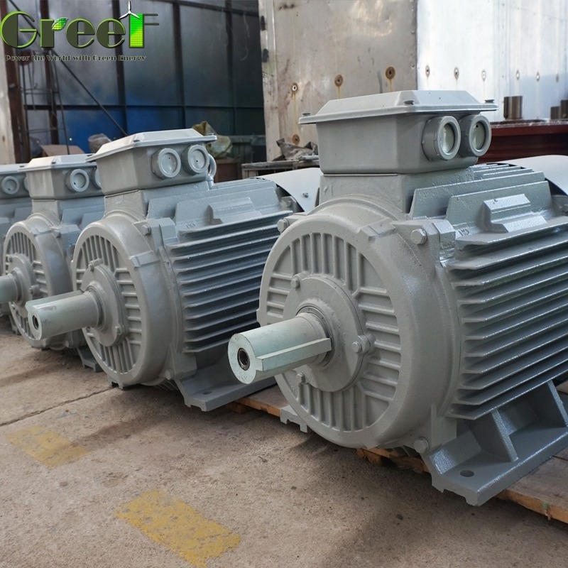Generator magnetyczny IP54 zasilany magnesami, o mocy wyjściowej zależnej od rozmiaru i konstrukcji, darmowa energia z materiałem stojana z miedzi