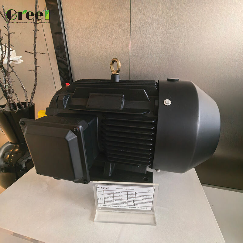 IP54 Classification 6 Poles Permanent Magnet Motor 0-8000 RPM for Durable Industrial Performance