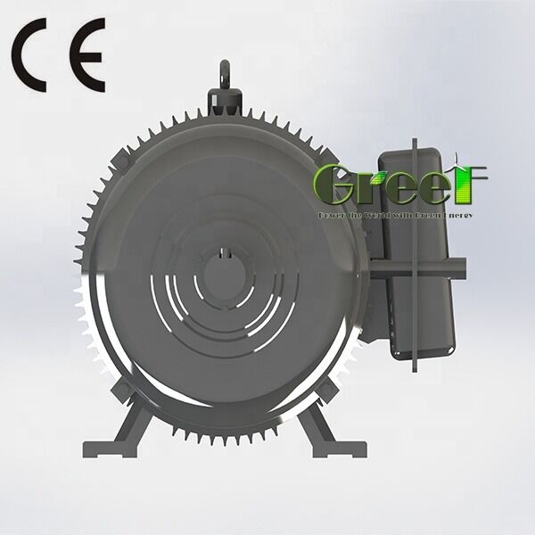 Silnik bezszczotkowy z magnesem trwałym SKF z łożyskiem, z magnesem NdFeB, idealny do odnawialnych źródeł energii, robotyki i napędów przemysłowych