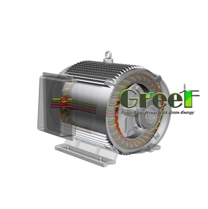 IP54 Permanent Magnet Generator with NdFeB Magnet Technology and Installation IMB3 IMB5 IMB35 Ensuring Energy Conversion