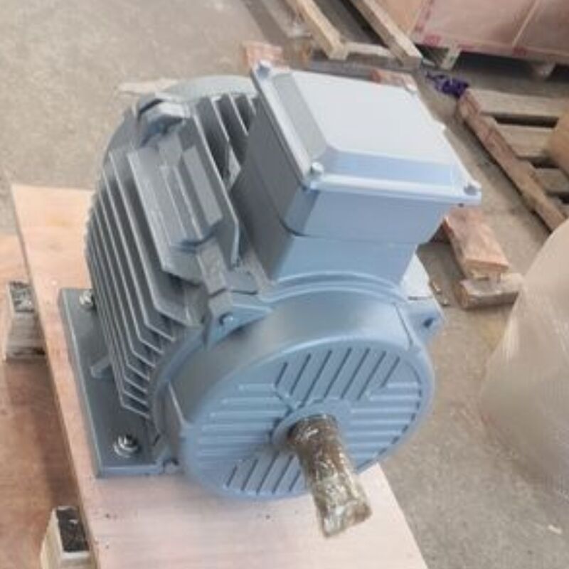 24V-1140V bezszczotkowy stały magnes motor oferujący klasyfikację IP54 optymalizowany do rozwiązań automatycznych maszyn i energii