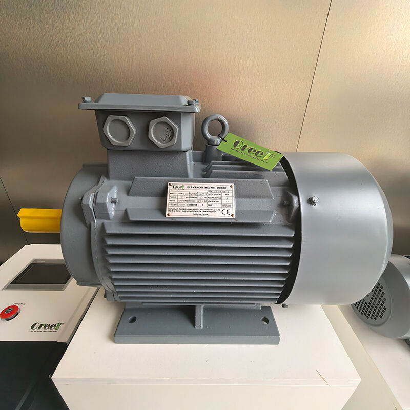 Generator z magnesami trwałymi 12VAC do 1140VAC z własnym chłodzeniem wodnym wentylatora i klasą IP54