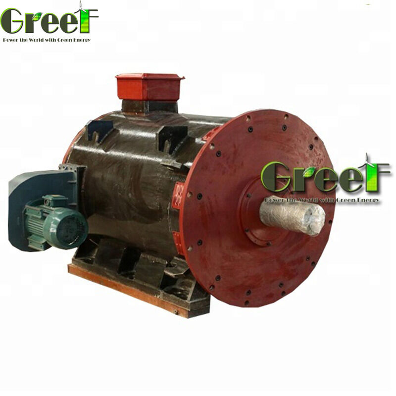 750W do 1000kW Motor magnetyczny z 100Mohm Min odpornością izolacyjną i maksymalną temperaturą magnesową 120°C